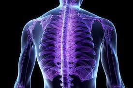 The Role of Disc Surgery in Treating Herniated Discs